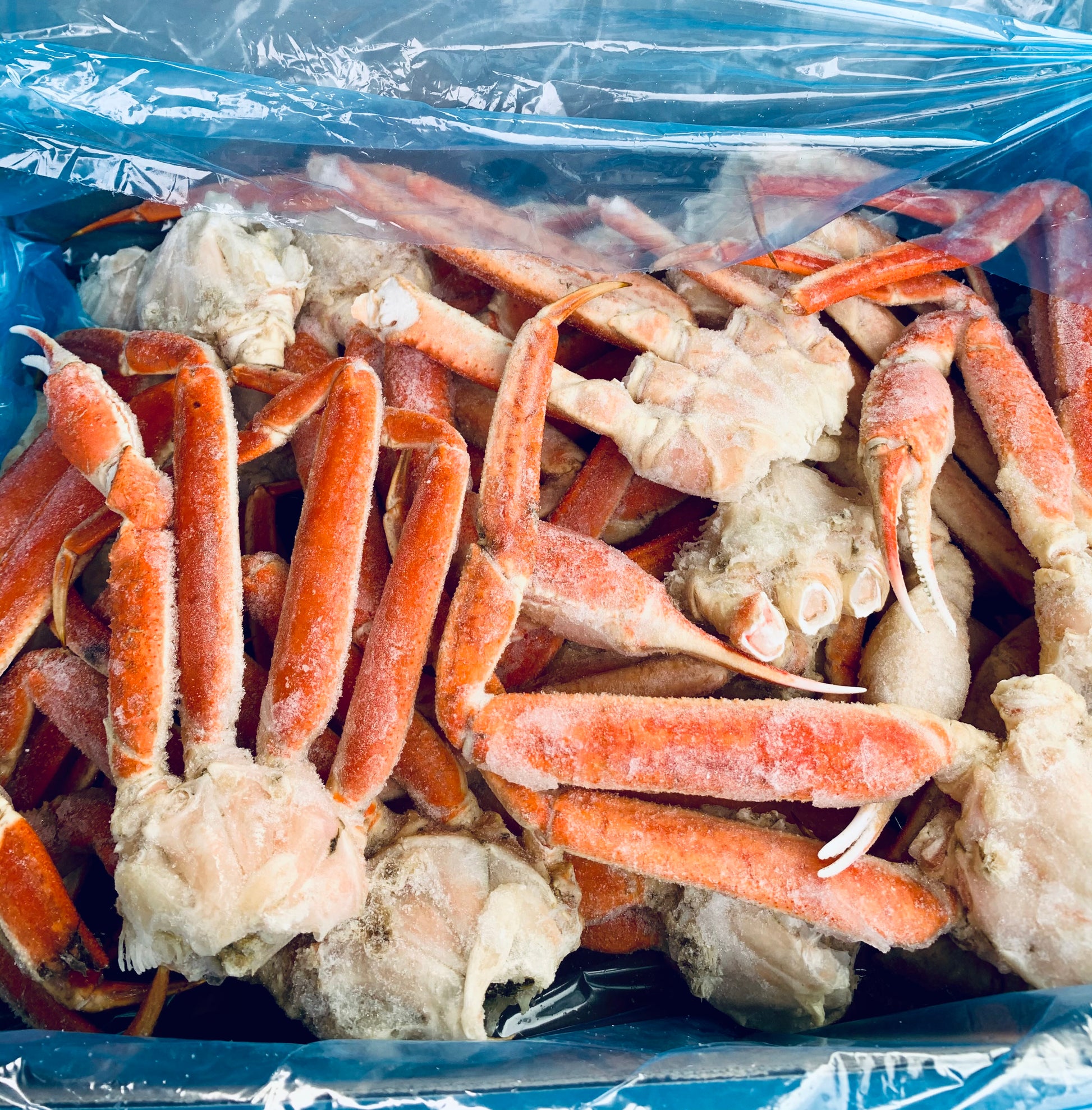 Crabe des neiges du Québec / boîte de 4 lbs - VitaMenu